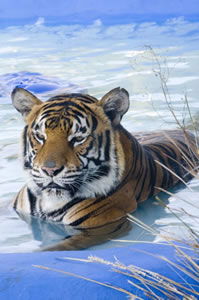 Zoo Doo Wildlife Park - Kempsey Accommodation 0
