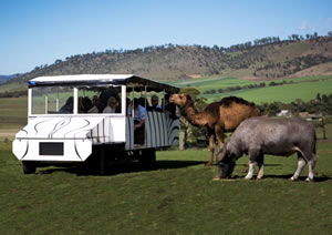 Zoo Doo Wildlife Park - Kempsey Accommodation 2