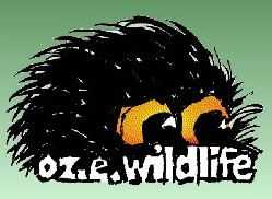 OZe Wildlife - Kempsey Accommodation 0