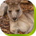Calmsley Hill City Farm - Kempsey Accommodation 0