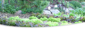 Calmsley Hill City Farm - Kempsey Accommodation 1