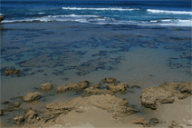 Canberra Contemporary Art Space - Kempsey Accommodation 0