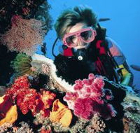 Gold Coast Seaway Dive Site - Kempsey Accommodation