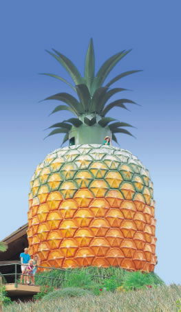 The Big Pineapple - Kempsey Accommodation 0