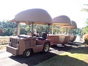 The Big Pineapple - Kempsey Accommodation 2