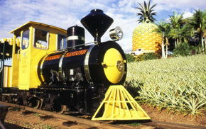 The Big Pineapple - Kempsey Accommodation 3