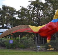 Gumbuya Park - Kempsey Accommodation