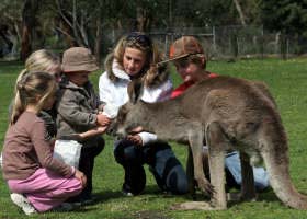 Gumbuya Park - Kempsey Accommodation 1
