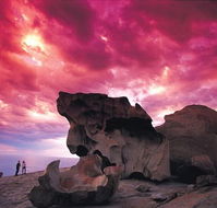 Kangaroo Island Adventure Tour 2 day/1 night - Kempsey Accommodation