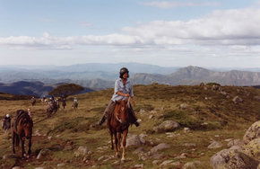 High Country Horses - Kempsey Accommodation 0