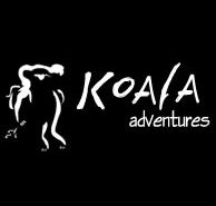 Koala Adventures - Kempsey Accommodation