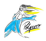 Polperro Dolphin Swims - Kempsey Accommodation 0