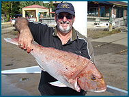 Odyssey Charters - Kempsey Accommodation 1
