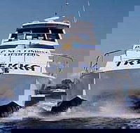 Sunshine Coast Fishing Charters - Kempsey Accommodation