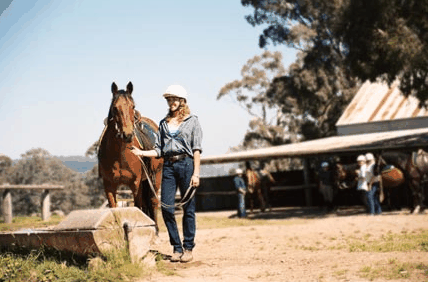 Watsons Trail Rides - Kempsey Accommodation 0