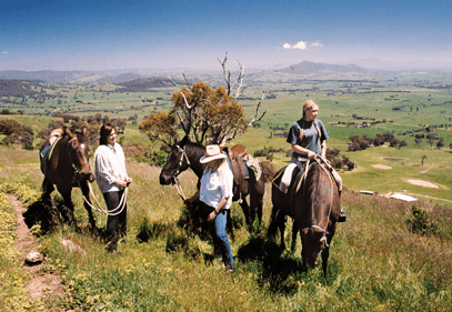 Watsons Trail Rides - Kempsey Accommodation 2