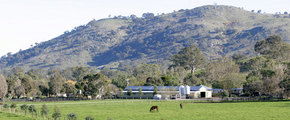 Blue Gum Farm - Kempsey Accommodation 1