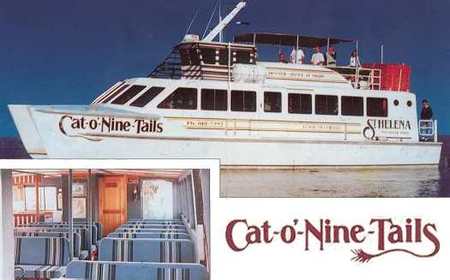 Cat O' NineTails - Kempsey Accommodation 1