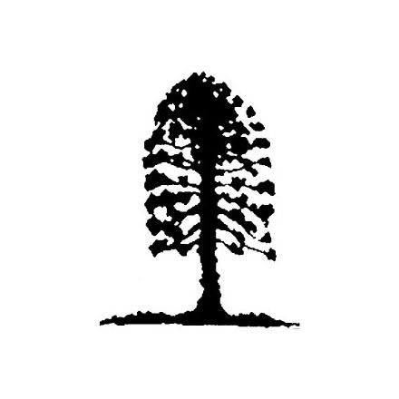 Musgrave Park Cultural Centre - Kempsey Accommodation 2