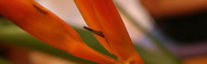 Zen Day Spa - Kempsey Accommodation 0