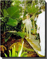 Daintree Rainforest River Trains - Kempsey Accommodation 1