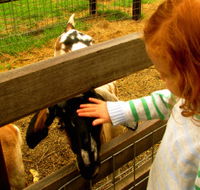 Collingwood Children's Farm