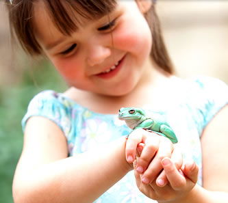 Reptile Encounters - Kempsey Accommodation 1