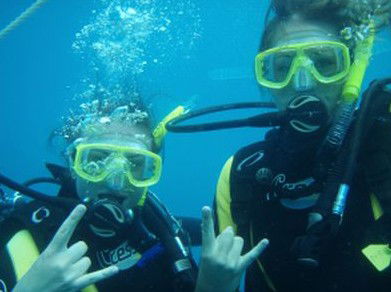 Snorkel Safari Brisbane - Kempsey Accommodation 5