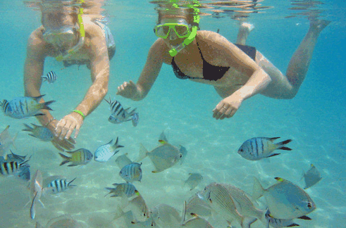 Australian Kayaking Adventures - Kempsey Accommodation 2