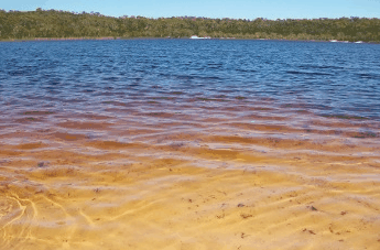 Beach Trekkers North Stradbroke Island - Kempsey Accommodation 1