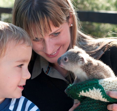 Australian Reptile Park - Kempsey Accommodation 1