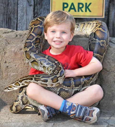 Australian Reptile Park - Kempsey Accommodation 3