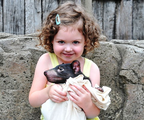 Australian Reptile Park - Kempsey Accommodation 8