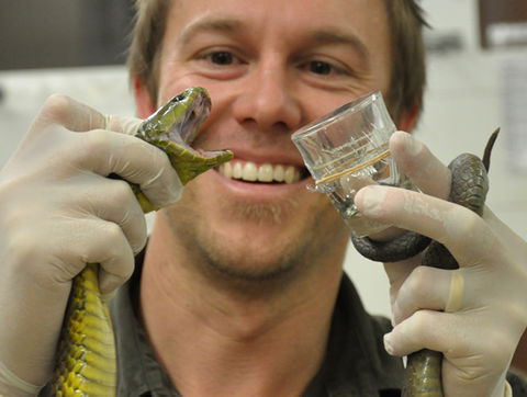 Australian Reptile Park - Kempsey Accommodation 9