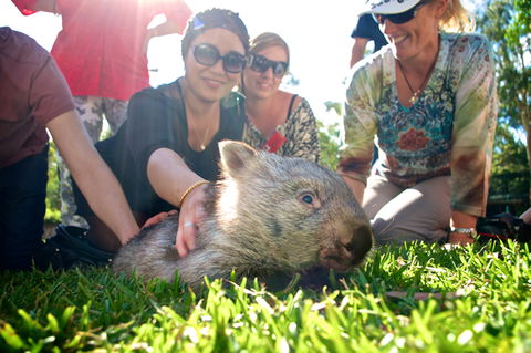 Australian Reptile Park - Kempsey Accommodation 10