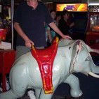 Twin Cities Tenpin Bowl - Kempsey Accommodation 3