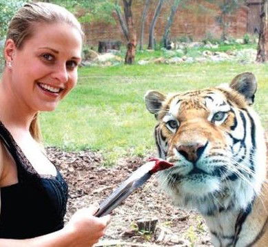 National Zoo & Aquarium - Kempsey Accommodation 4