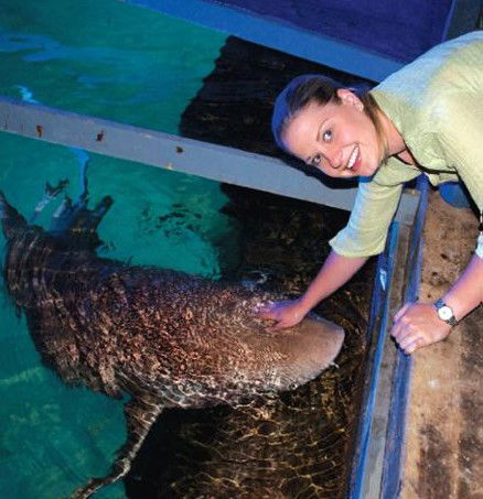 National Zoo & Aquarium - Kempsey Accommodation 7