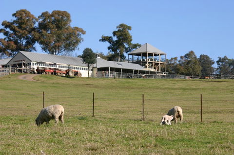 Calmsley Hill City Farm - Kempsey Accommodation 3