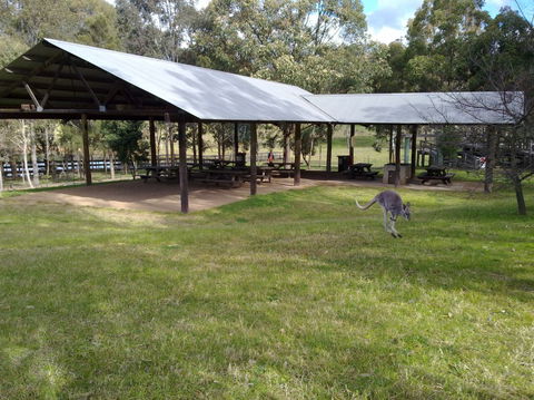 Calmsley Hill City Farm - Kempsey Accommodation 5
