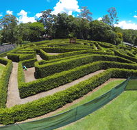 Bellingham Maze - Kempsey Accommodation
