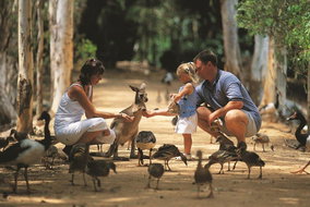 Book Townsville QLD Attractions Kempsey Accommodation Kempsey Accommodation