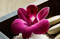 Blush Beauty Saloons - Kempsey Accommodation 4