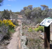 Christmas Rock Walk - Kempsey Accommodation