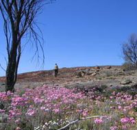 Talgomine Reserve - Kempsey Accommodation