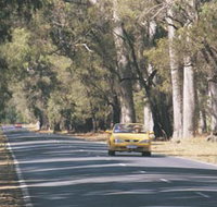 Ludlow Tuart Forest - Kempsey Accommodation