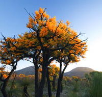 Cape Le Grand National Park - Kempsey Accommodation