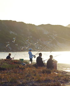 Culham Inlet - Kempsey Accommodation 0