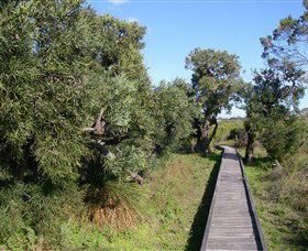 Kepwari Trails Wetland Wonderland - Kempsey Accommodation 0