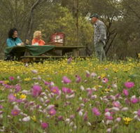 Gwambygine Park - Kempsey Accommodation